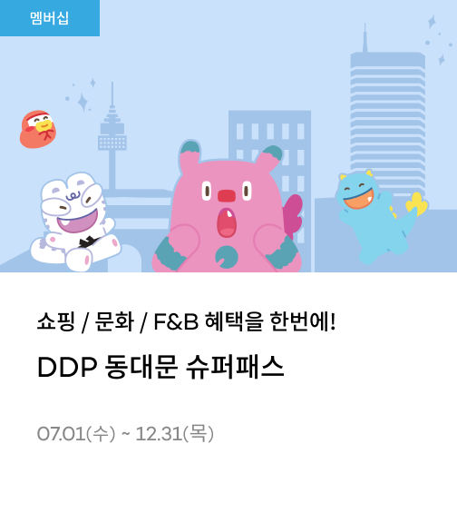  DDP 슈퍼패스